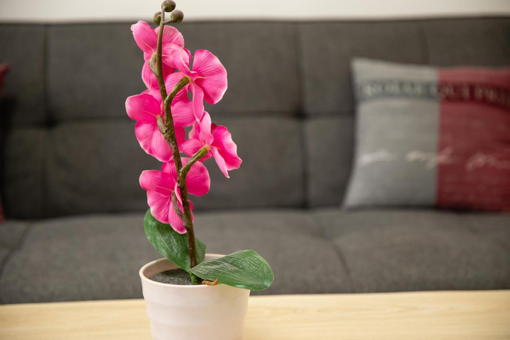 Apartment Rueppgasse Leopoldstadt Wien المظهر الخارجي الصورة